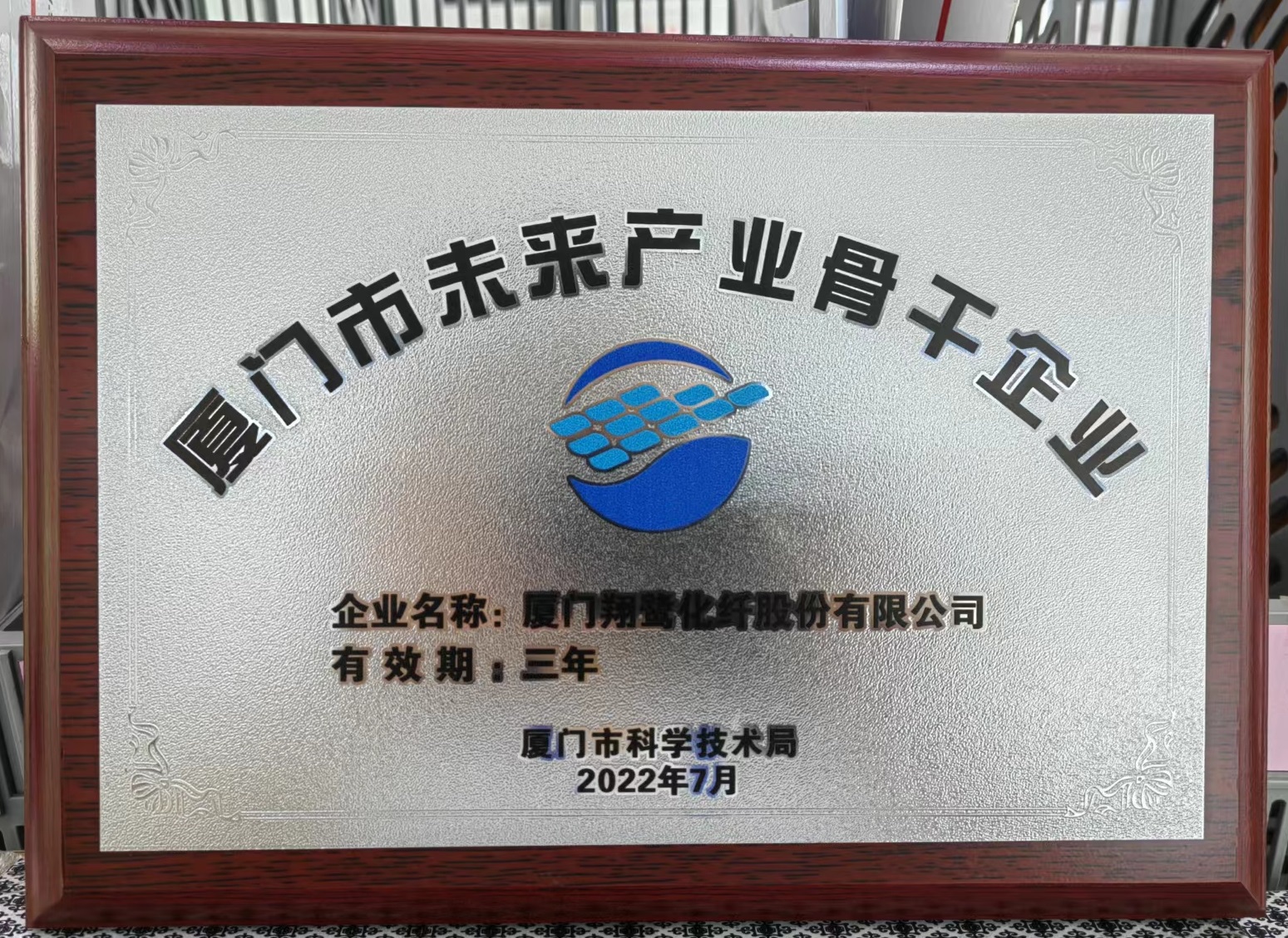 XLF 廈門市未來(lái)產(chǎn)業(yè)骨干企業(yè)（?。?022.09.20）.jpg